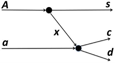 Indirect Measurements of n- and p-Induced Reactions of Astrophysical Interest on Oxygen Isotopes